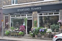 Anastasia flowers 285054 Image 0